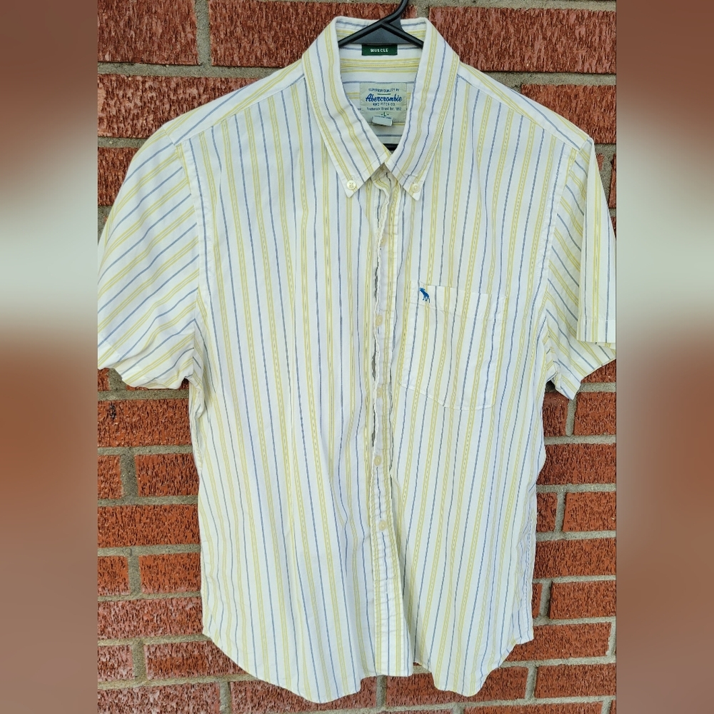 Abercrombie and Fitch. Large. Short sleeve